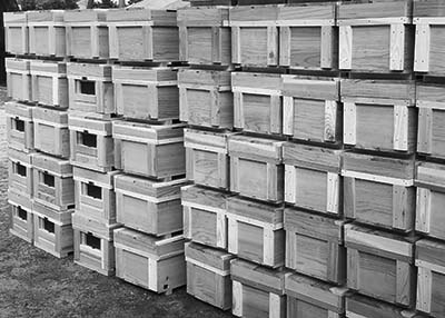 熊本県花粉交配用ミツバチ対策協議会ダニ対策に係る調査用資材導入の一般競争入札